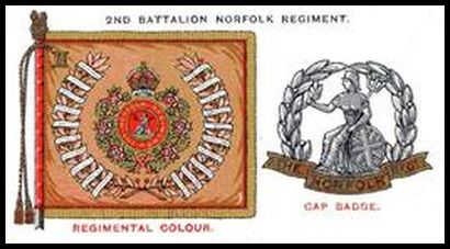 20 2nd Bn. Norfolk Regiment